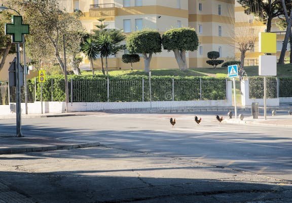 Spain - juego chicken road Spain - juego chicken road